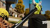 The 15 Best Leaf Vacuums Make Quick Work of Autumn Leaves