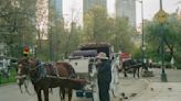 Collapse Of Carriage Horse Sparks Criticism Of Industry In New York
