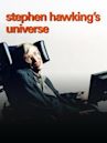 Stephen Hawking's Universe