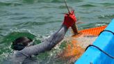 Reinicia captura de langosta; "Beryl" dejó inactivos a pescadores