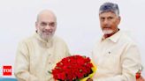 Andhra CM Chandrababu Naidu meets Amit Shah, seeks higher allocation for state in Union Budget | India News - Times of India