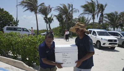 Mexico evacuates sea turtle eggs from beaches as Hurricane Beryl heads to the Yucatan peninsula