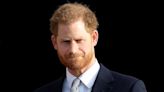 Prince Harry Talks Reincarnation — and What Animal He Wants to Come Back As