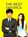 The Best Divorce