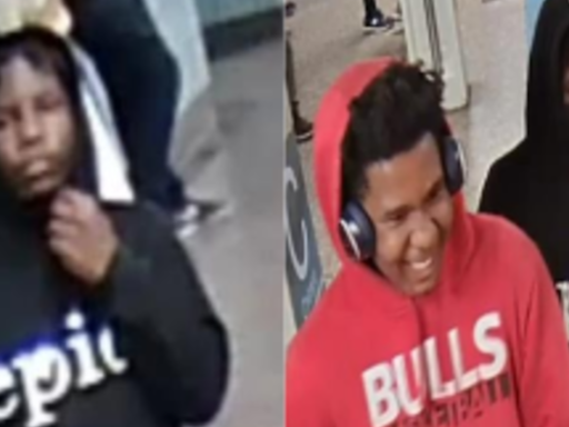 Police seek to identify 2 suspects in robbery on Chicago train