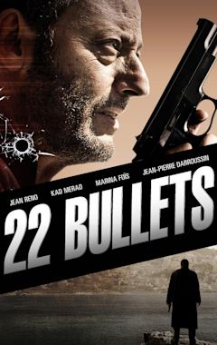 22 Bullets