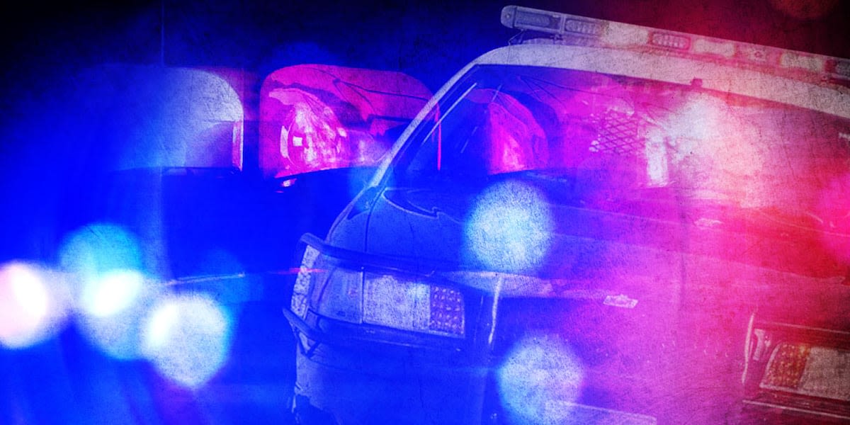 Fargo Police pull gun on knife-wielding man