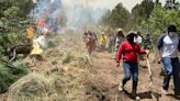 Piden apoyo de helicópteros con agua para controlar incendio en bosque de Santa María Mazatla | El Universal