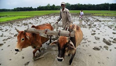 Lack of cold storage facilities, awareness among farmers result in food wastage