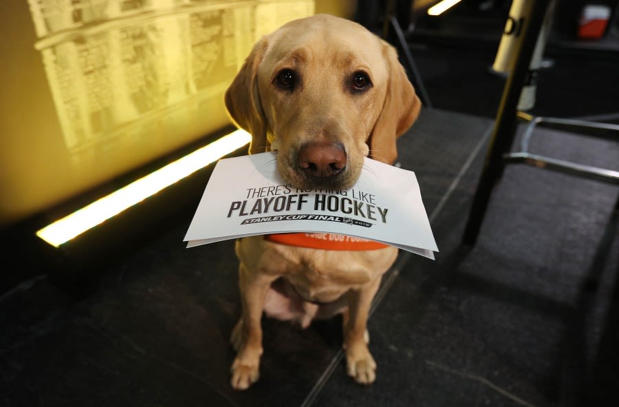 Philadelphia Flyers, Pittsburgh Penguins to have dogs compete in NHL’s “Stanley Pup”