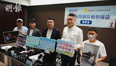 民建聯關注新界北接收流浪或遺棄狗隻近日急增 倡專用安置屋邨准動物「上樓」 (14:47) - 20240727 - 港聞