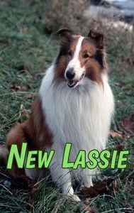 New Lassie