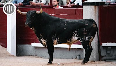 'Bastonito', la leyenda renacida de Baltasar Ibán