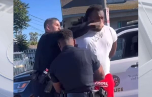 LAPD cop punches man mid-arrest in South Los Angeles