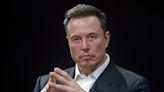 Elon Musk acted like a 'little baby' and was 'almost in tears' on Tesla's 'terrible' earnings call, analyst says