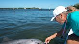 Rehabilitated dolphin leaves quarantine at Florida facility