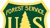 Man sentenced for setting 11 fires in Shasta-Trinity National Forest