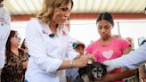 Fumigarán calles y casas para combatir la richettsia