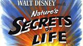 Secrets of Life (1956): Where to Watch & Stream Online