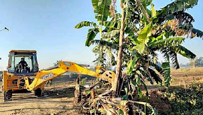 Assam: 450 families evicted from 60 hectares of land to avoid 'man-elephant conflict'