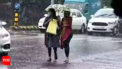 8 dead, 800 shifted as heavy rain hits south, central Gujarat | Vadodara News - Times of India