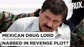 Guzman’s Revenge? Mexican Drug Cartel ‘El Mayo’ Held After Being Lured Into Boarding “Private Plane” - News18