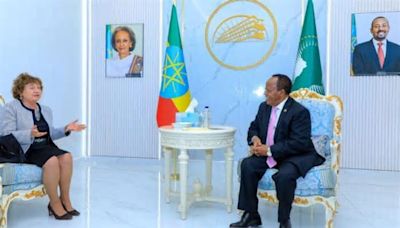 Ethiopia “respects the territorial integrity of Somalia”