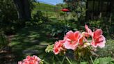 Chopping at the bit to plant your flowers and vegetables. Why you might want to hold off.