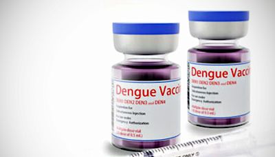 Contrarreloj, el Gobierno negocia la compra de 160.000 vacunas contra el dengue para aplicar en áreas de alto riesgo