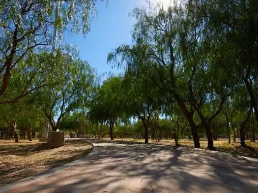 Sequía afectó al Parque Rodolfo Landeros, reconocen autoridades