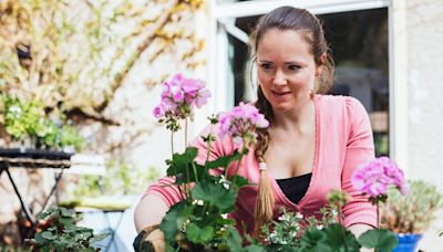 Monty Don tells all on how to keep your delphiniums flowering for months longer