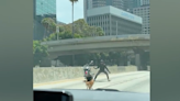 Stray dog running on 110 Freeway in downtown L.A. finds forever home