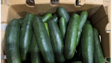 Whole cucumbers recalled due to possible salmonella risk