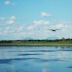 Hesaraghatta Lake