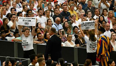 Vaticano: un grupo de activistas irrumpió en una audiencia del papa Francisco