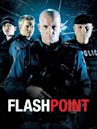 Flashpoint – Das Spezialkommando