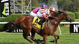 Breeders' Cup, Oaks winners, other turf stars top weekend horse racing