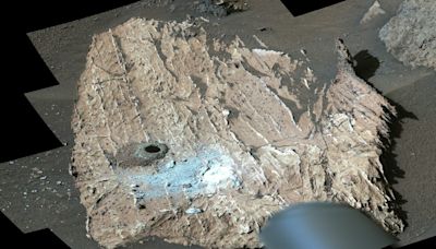 A home fit for a Martian? Nasa finds rock that may have hosted tiny lifeforms on Mars