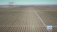 California's farmland shrunk by nearly 10%