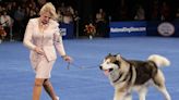 How to Watch Every Adorable Moment of the 2023 National Dog Show on Thanksgiving Day