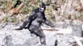 Bigfoot reported twice in SC so far in 2022? Here’s where the Sasquatch has been ‘seen’