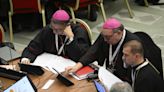 Theologians conclude evaluation of synod reports after Rome meeting