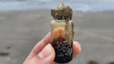 Mysterious vial washes up on Texas beach, sparks theories: "Put it back!"