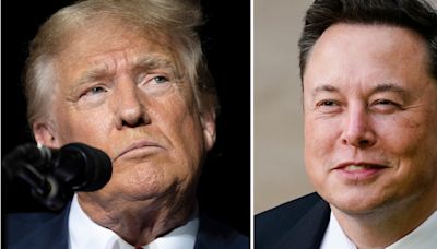 Analyse von Alexander Görlach - Trump dreht völlig frei, doch der schleimende Tesla-Mann schießt den Vogel ab