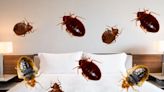New Jersey has one of the worst places for bed bug infestations