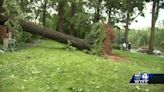 Widespread damage left in aftermath of Upstate storms