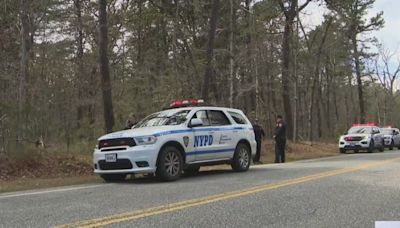 Police search wooded area on Long Island in connection to Gilgo Beach murders: source