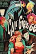 Call-girls 66