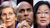 These 14 Democratic senators broke with Biden and voted against striking down the DC criminal code