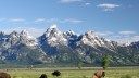 Proposal to Auction Land Inside Grand Teton National Park Tabled Until Fall 2024